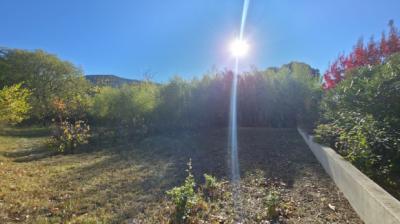 Traditional House, Workshops And Adjoining Garages