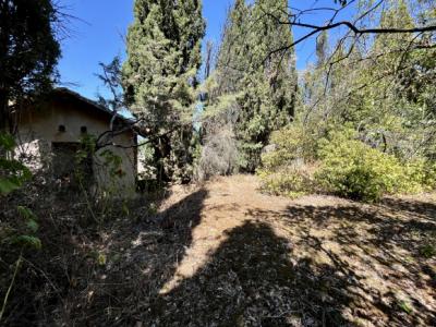 Charming Detached House with Large Garden