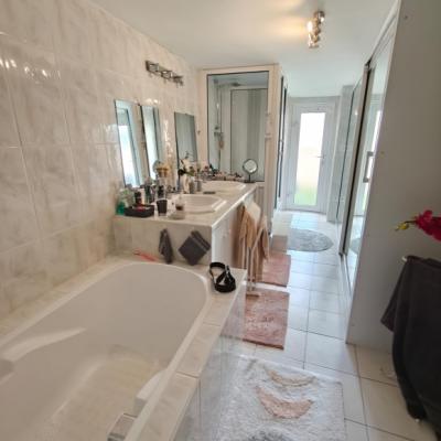 Two Houses in 34 Hectares of Vineyards