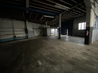 Huge Villa with Garage, Ideal Commercial Location