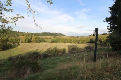 Two Country Houses with Equestrian Outbuildings and Land