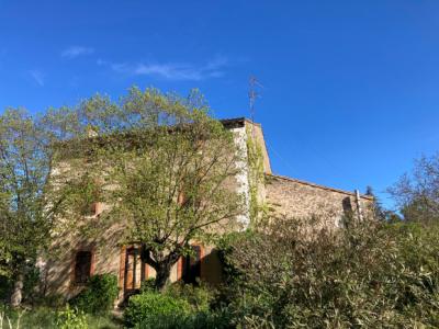 Beautiful Winegrowers House With Garden And Outbuilding