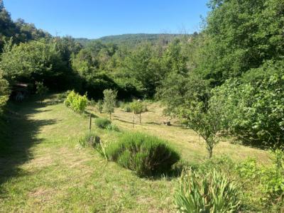 Beautiful Village House With Terrace with Open Views
