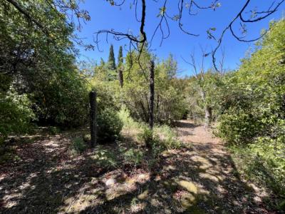 Charming Detached House with Large Garden