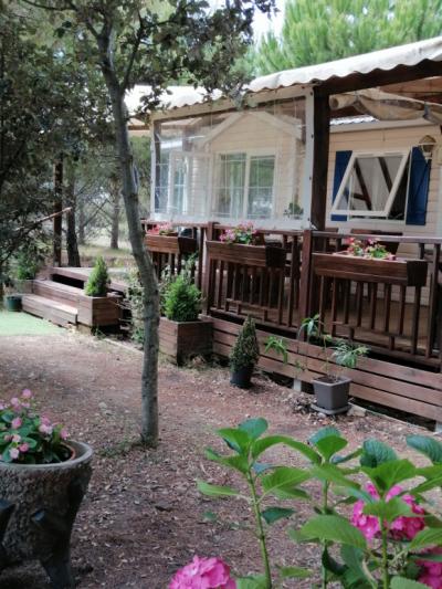 Renovated Character House in A 2.5 Hectare Parkland Gardens