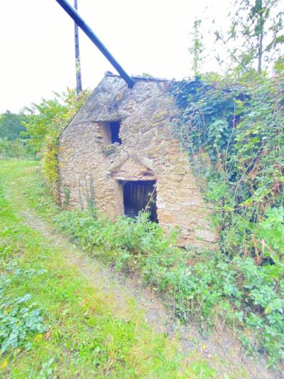 Vast Farmhouse To Renovate