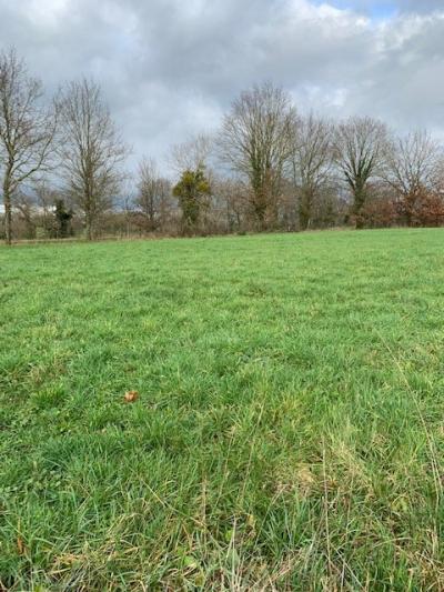 Building Plot For Sale