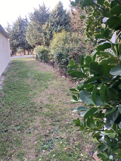 Contemporary Detached House with Swimming Pool