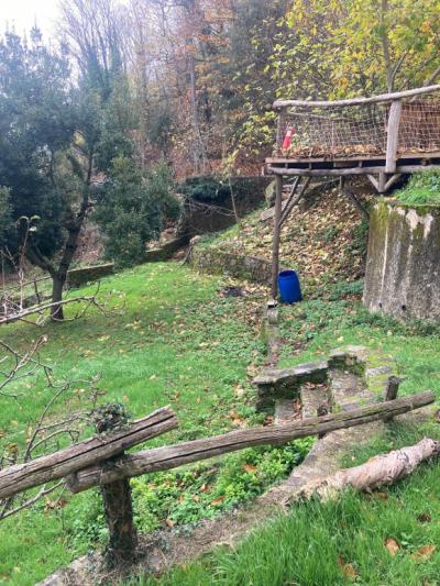 House With Swimming Pool in 13 Hectares