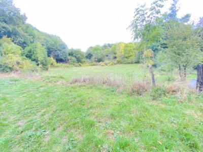 Vast Farmhouse To Renovate