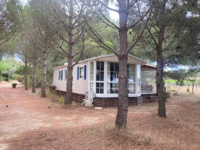 Renovated Character House in A 2.5 Hectare Parkland Gardens