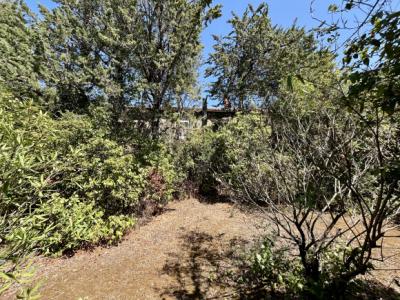 Charming Detached House with Large Garden