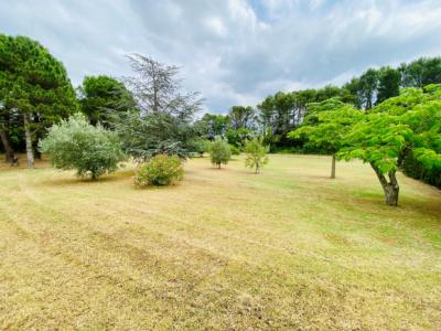 Beautiful House With Outbuildings in an Acre of Gardens
