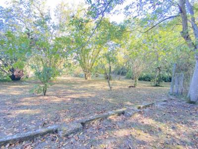 Manor House with Pool in 1.5 Acre Gardens