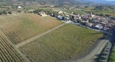 Two Houses in 34 Hectares of Vineyards