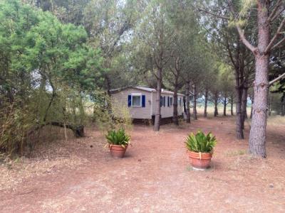 Renovated Character House in A 2.5 Hectare Parkland Gardens