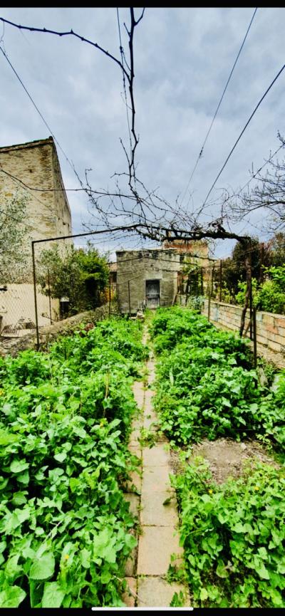 By The City Walls, House With Patio, Outbuilding And Garden