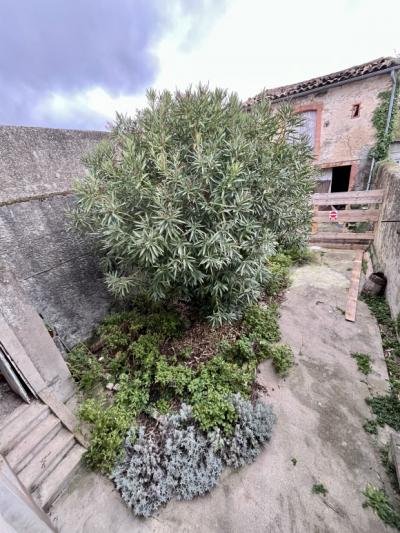 Delightful Village House With Garden