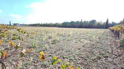 House in Perfect in Condition within the Vineyards