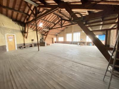 Huge Villa with Garage, Ideal Commercial Location