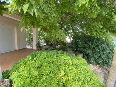 Single-Story Detached Villa with Garden