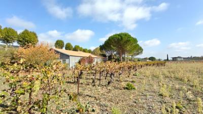 House in Perfect in Condition within the Vineyards