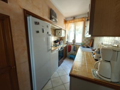 Country House with Lots of Land and Outbuildings