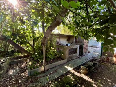 Town House With Garden, You are Sure to Fall in Love