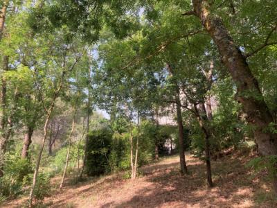 Detached Villa, Swimming Pool, Garage, Parkland Gardens