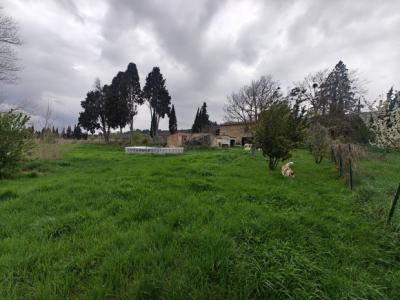 Beautiful Property with Garden and Two Hectares