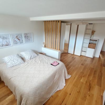 Magnificent House with Swimming Pool and Garage