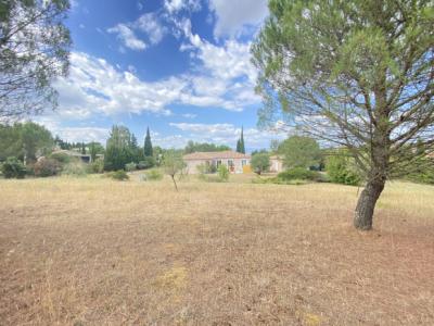 Detached House with Garden