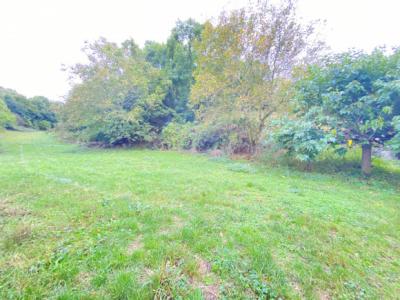 Vast Farmhouse To Renovate