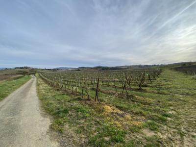Exceptional Property with Land