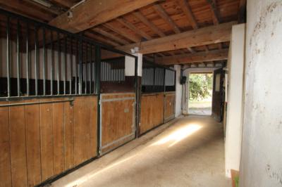 Two Country Houses with Equestrian Outbuildings and Land