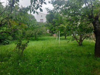 Detached House With Garden And Garage