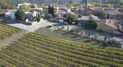Two Houses in 34 Hectares of Vineyards