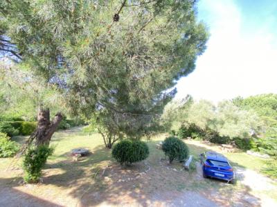 Detached Country House With Swimming Pool