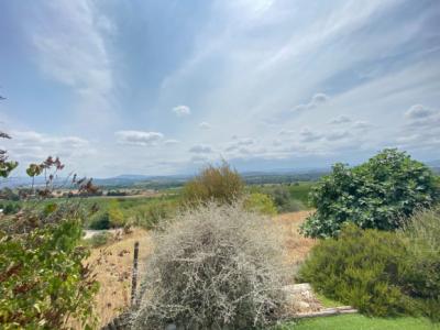 Exceptional Property in a Privileged Environment