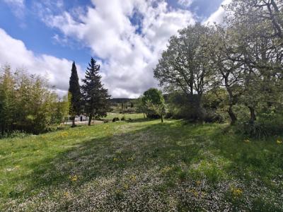 Winegrower's Village House with Vineyard Views