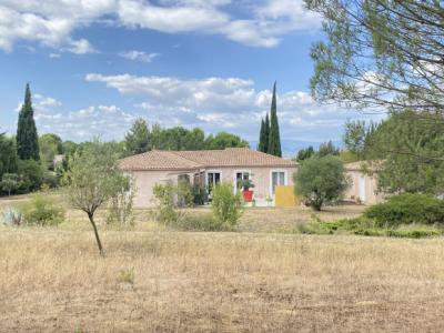 Detached House with Garden