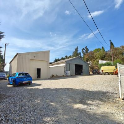 Two Houses in 34 Hectares of Vineyards