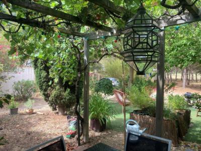Renovated Character House in A 2.5 Hectare Parkland Gardens