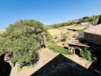 Magnificent Mansion With Outbuildings And Garden
