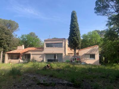 Architect Designed Villa in 1 Hectare of Gardens