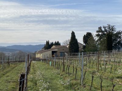 Exceptional Property with Land