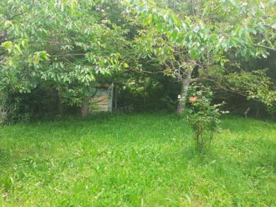 Detached House With Garden And Garage