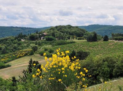 Detached Villa with Pool and 1.5 Hectares, Outbuildings And Breathtaking View