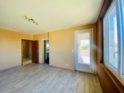 Charming Fully Renovated House With Garden, Swimming Pool, Garages