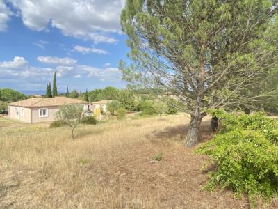Detached House with Garden